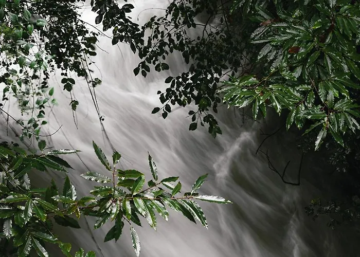 Villa Palazzo Branca - Unique Experience Brissago